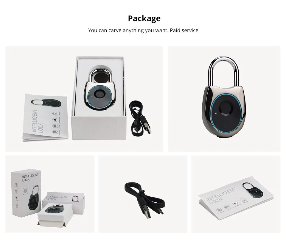 Finger Print Lock Padlock/USB Rechargeable Smart Fingerprint Lock/Electronic Padlock